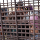 Image for article titled Another Child Has Died After Being Detained At the Border